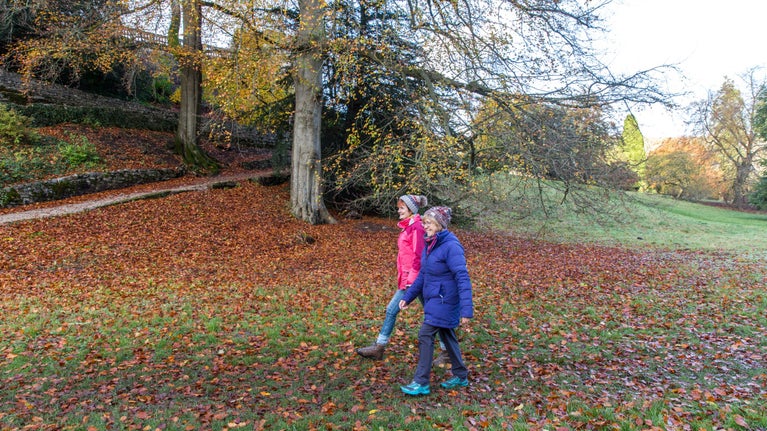 Mix of coloured leaves falling off trees and two people walk in front, one wearing a pink coat, the other a blue coat